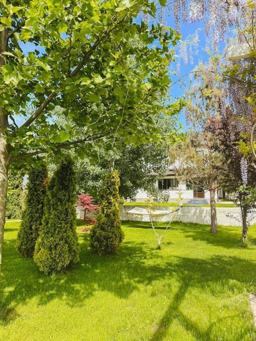 Therme - Corbeanca By The Lake Luxury Villa Bagian luar foto